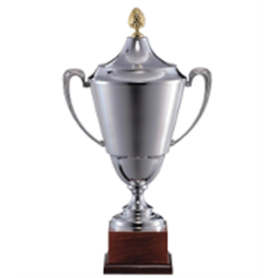 Trophée Musgrave – Greenmark