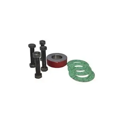 Bride DN40 PN25/40 GRUNDFOS pour circulateur - 96569194