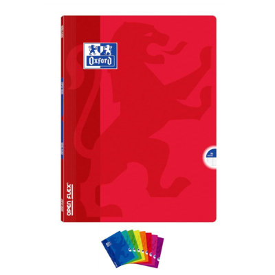 Cahier OPENFLEX agrafé 24 x 32 cm 96p grands carreaux 90g Coloris Aléatoire - Oxford