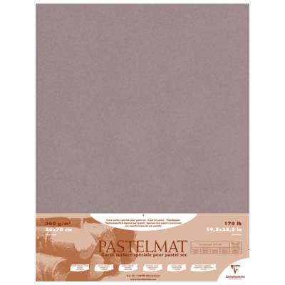 Paquet de 5 feuilles Pastelmat gris foncé 50x70cm 360g - CLAIREFONTAINE