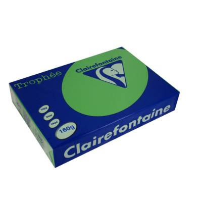 Ramette 250 Feuilles Papier 160g A4 210x297 mm Certifié FSC vert billard - CLAIREFONTAINE