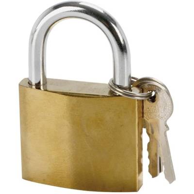 Cadenas Acier avec 2 Clés 50 mm - COGEX