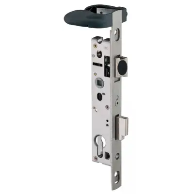 Serrure 1 point Sécurité enfant portail piscine ASSA ABLOY - Larg. coffre 39 mm - 2268.39 - ASSA ABLOY COTE PICARDE