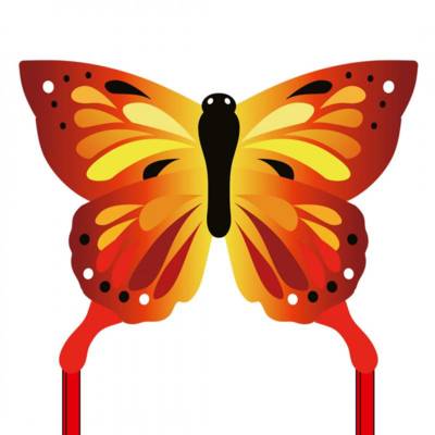 Cerf-volant Monofil Enfants ECOLINE BUTTERFLY KITE SUNRISE - HQ KITES