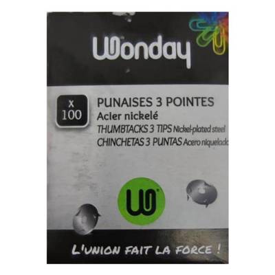 Boite de 100 Punaises 3 Pointes Acier Nickelé - WONDAY