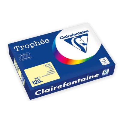 Ramette Papier FSC A4 120g 250 Feuilles CANARI - CLAIREFONTAINE