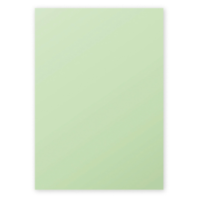 Etui de 50 Feuilles 210x297 vert 120g - Clairefontaine