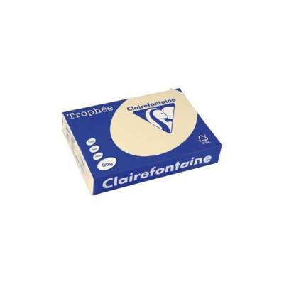 Ramette 500 Feuilles Papier 80g A3 420x297 mm Certifié FSC CHAMOIS - CLAIREFONTAINE