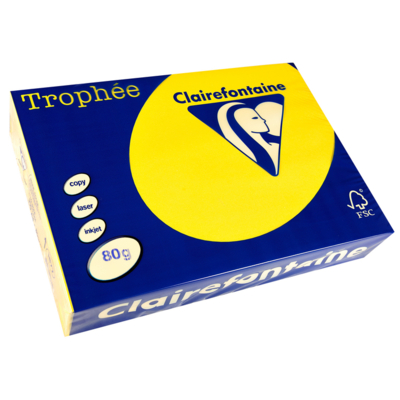 Ramette 500 Feuilles Papier 80g A4 210x297 mm Certifié FSC jaune soleil - Clairefontaine