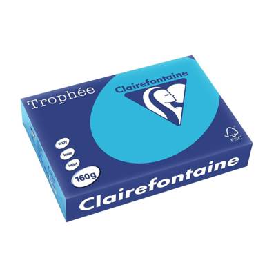 Ramette 250 Feuilles Papier 160g A4 210x297 mm Certifié FSC Bleu royal - CLAIREFONTAINE