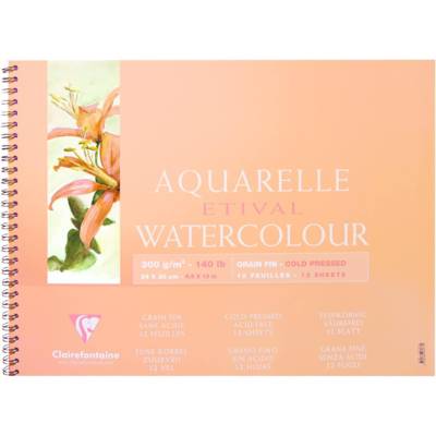 Etival album spiralé 12F 24x30cm 300g grain fin Blanc - CLAIREFONTAINE
