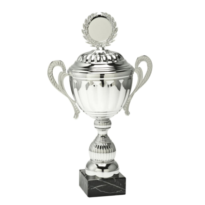 Coupe Bilzin argenté – Greenmark