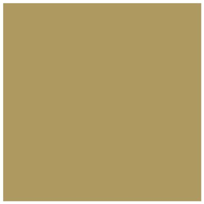Pack de 25 Carte Simple 210g 160x160 or - Clairefontaine