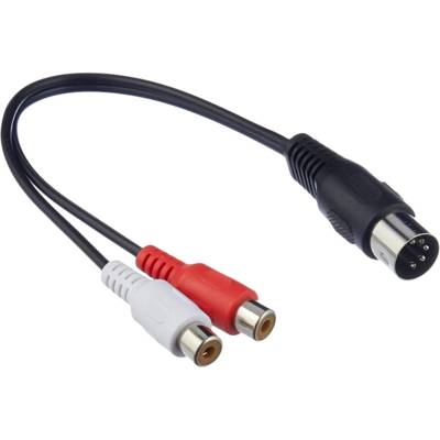Câble Adaptateur DIN 5 pin / 2xRCA 0.2 m - GOOBAY