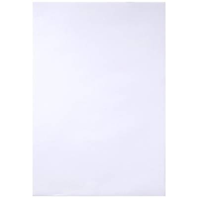 Ramette de 250 feuilles de papier dessin croquis blanc 55 g A4 - CLAIREFONTAINE