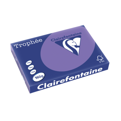 Ramette 250 Feuilles Papier 160g A3 420x297 mm Certifié FSC violine - Clairefontaine