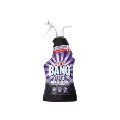 Spray Expert Anti-moisissures Spray de 750ml - CILLIT BANG