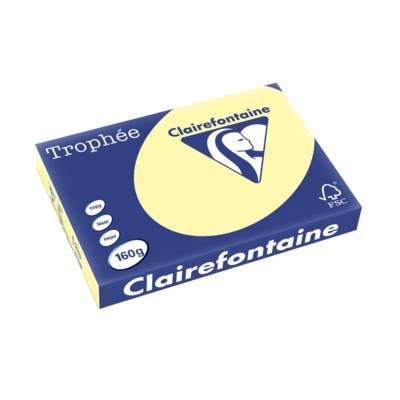 Ramette 250 Feuilles Papier 160g A3 420x297 mm Certifié FSC CANARI - CLAIREFONTAINE