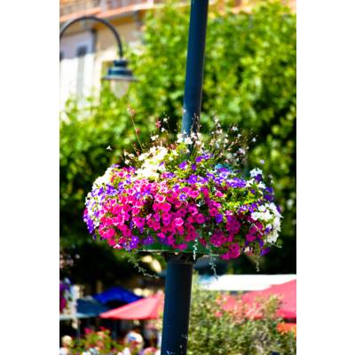 Suspension Double Jiflor 600 - ATECH