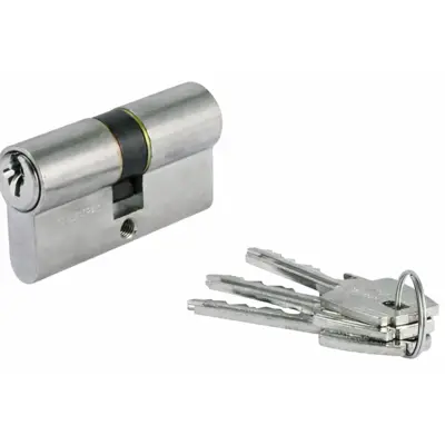 Cylindre double TE5 - 30 x 30 mm Panneton 13,2 pour serrures SMM - Laiton nickelé - TESA - 52003030N
