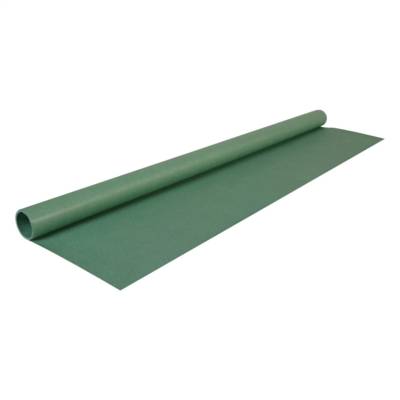 Rouleau Papier Kraft Couleur 65g 3x0,70m - Vert mousse - CLAIREFONTAINE
