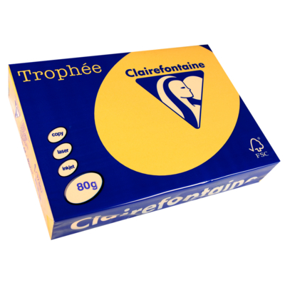 Ramette 500 Feuilles Papier 80g A4 210x297 mm Certifié FSC Bouton d'Or - Clairefontaine
