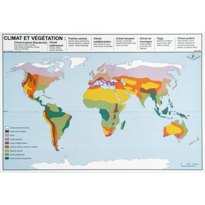 Planches éducatives sur le climat et la végétation – Ulmann