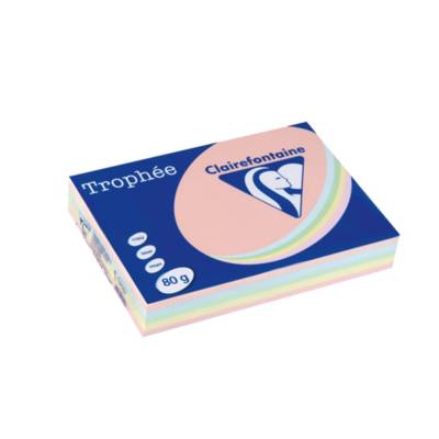 Ramette 500 Feuilles Papier 80g A4 210x297 mm Certifié FSC Assorti Pastel - CLAIREFONTAINE