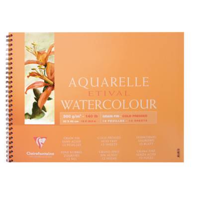 Album spiralé Etival grain fin 30x40 12 feuilles 300g - CLAIREFONTAINE