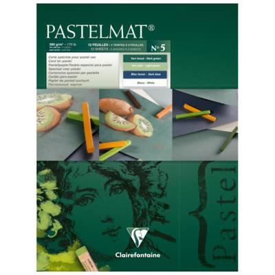Bloc Pastelmat n°5 12 feuilles 18x24cm Vert foncé, Vert Clair, Bleu Foncé et Blanc - CLAIREFONTAINE