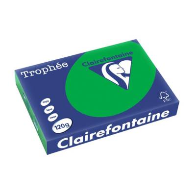 Ramette 250 Feuilles Papier 120g A4 210x297 mm Certifié FSC vert billard - CLAIREFONTAINE