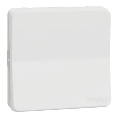 Mureva Styl - Va et vient - composable - IP55 - IK08 - connexion auto - blanc - SCHNEIDER ELECTRIC - MUR39723