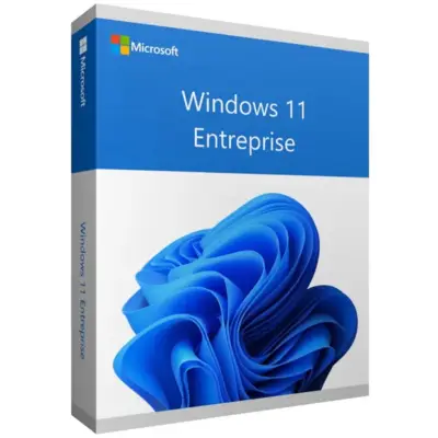 Microsoft Windows 11 Entreprise (Enterprise)
