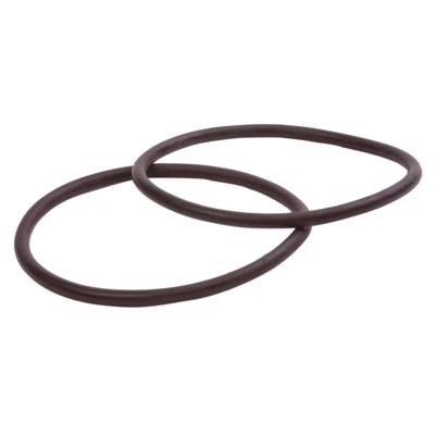 Jeu de 2 joints de rechange pour bocaux de système de filtration Vital - Gedimat - DIPRA