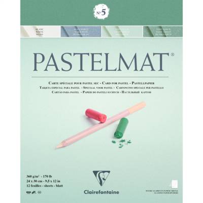 Bloc Lot 12 Feuilles Dessin Pastelmat n°5 360g 24 x 30 cm (4 Teintes x 3) - CLAIREFONTAINE
