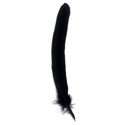 Plume d'oie taillées 28cm Bleu marine - HERBIN