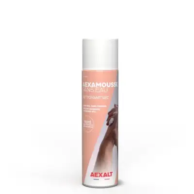 Nettoyant main sec AEXALT AEXAMOUSSE sans eau - Aerosol 210 ml - MS614