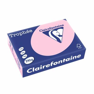 Ramette 250 Feuilles Papier 210g A4 210x297 mm Certifié FSC rose - CLAIREFONTAINE