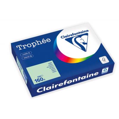 Ramette Papier FSC A4 160g 250 Feuilles Vert - CLAIREFONTAINE