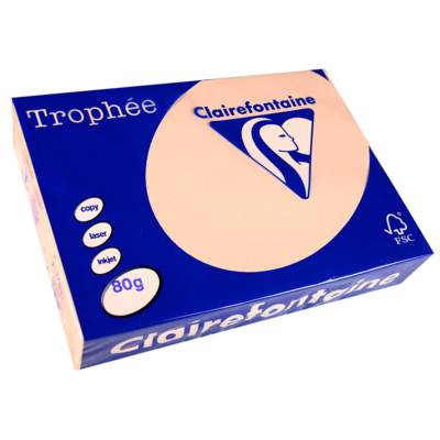 Ramette 500 Feuilles Papier 80g A4 210x297 mm Certifié FSC SAUMON - CLAIREFONTAINE