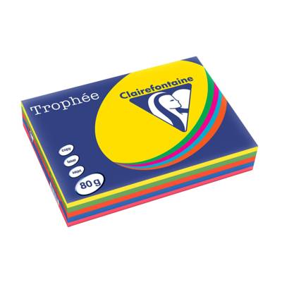 Ramette 500 Feuilles Papier 80g A4 210x297 mm Certifié FSC Assorti Intense - CLAIREFONTAINE