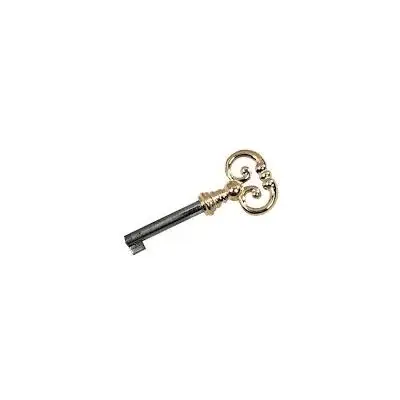Clé 1520 DUBOIS SAS - Fer poli - Tige 40 mm - Paneton ajusté - 150004