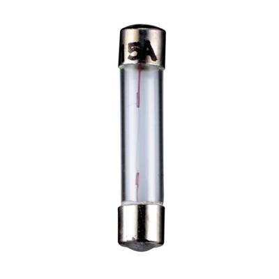 Ampoule de Type Fusible, 1,6 W 6,3 V (DC), 250 mA - GOOBAY