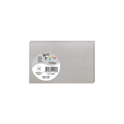 Pqt de 25 Carte Simple 210g 82x128 argent - Clairefontaine