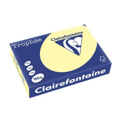 Ramette 250 Feuilles Papier 160g A4 210x297 mm Certifié FSC CANARI - CLAIREFONTAINE