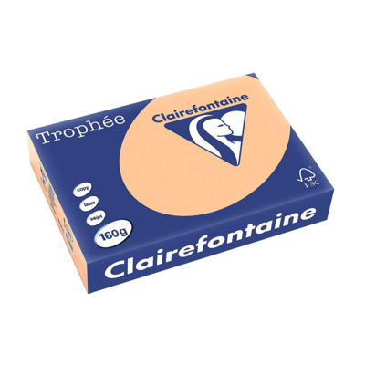 Ramette 250 Feuilles Papier 160g A4 210x297 mm Certifié FSC Abricot - Clairefontaine