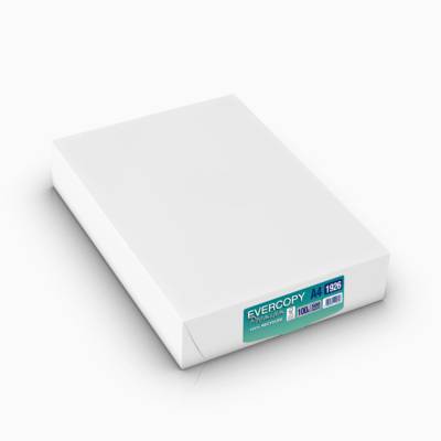 Ramette 500 Feuilles Papier 100g A4 210x297 mm Certifié Ange Bleu Premium Blanc - CLAIREFONTAINE