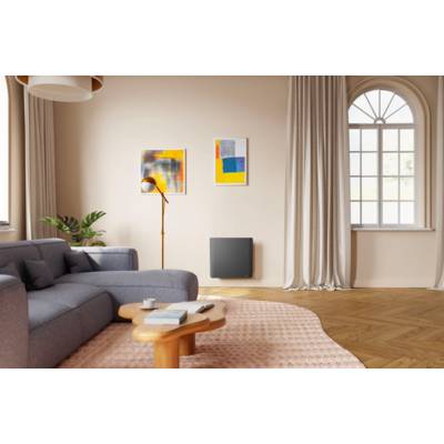 Radiateur connecté à double corps de chauffe horizontal EVOLUTION 1000W - Gedimat - NOIROT