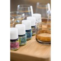Set 10 flacons 45ml peinture Vitrea 160 assortis brillant - PÉBÉO