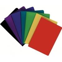 Protège-documents en polypropylène souple OPAK 80 vues - A4 Couleur aléatoire - EXACOMPTA